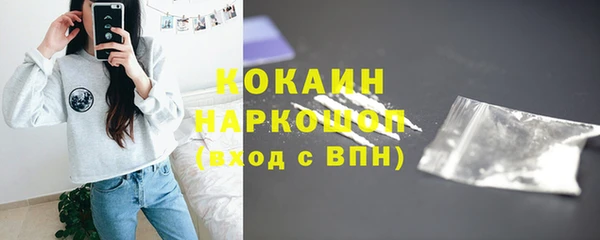 spice Богданович