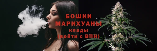 spice Богданович