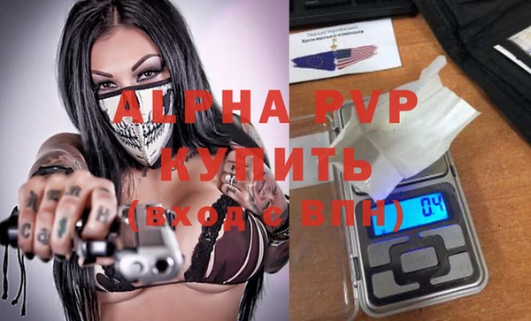 spice Богданович