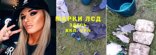 стафф Богородск