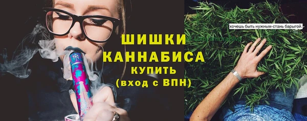 стафф Богородск