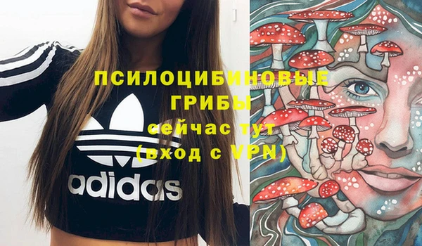 стафф Богородск