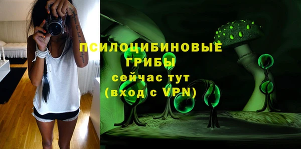 скорость Богородицк
