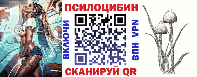 Галлюциногенные грибы мицелий  Малая Вишера 